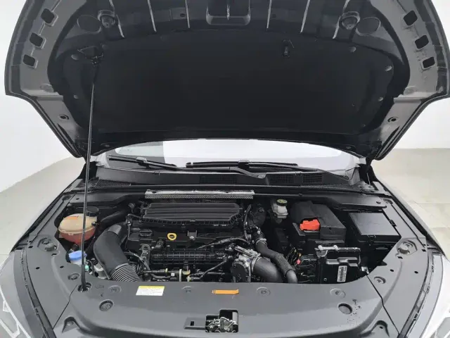 Dongfeng Yixuan MAX — Фото автомобиля 6