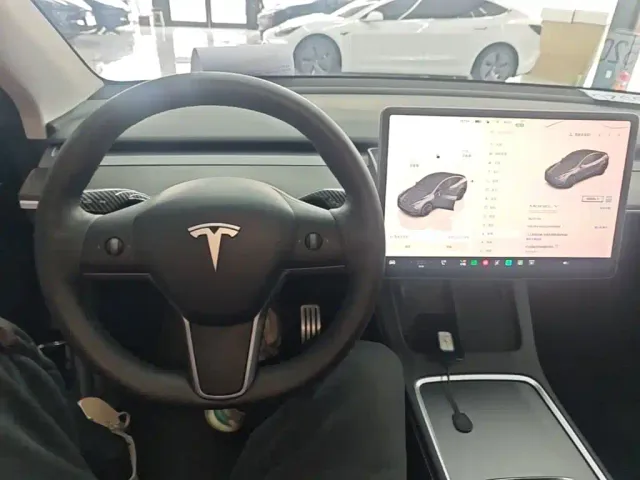 Tesla Model Y — Фото автомобиля 10