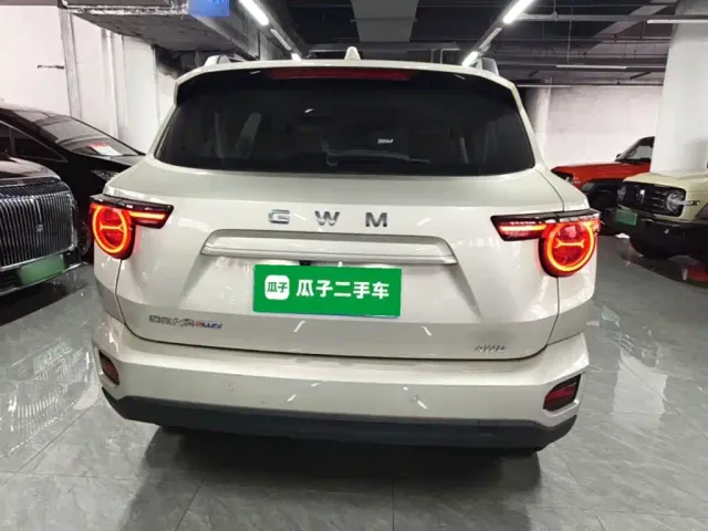 Haval Big Dog — Фото автомобиля 5
