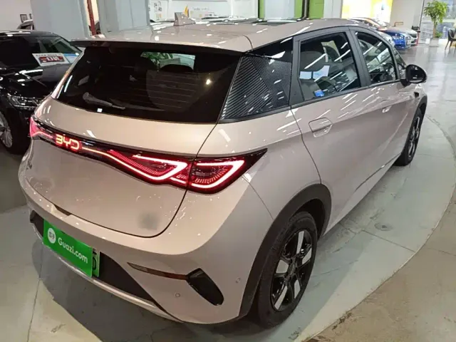 BYD Dolphin — Фото автомобиля 6
