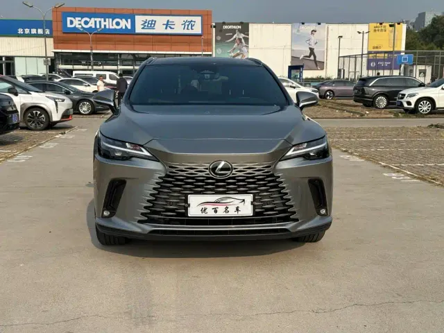 Lexus RX — Фото автомобиля 13
