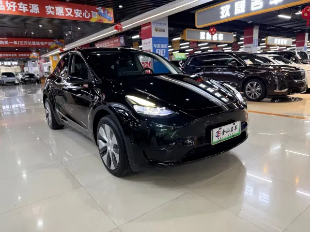 Tesla Model Y — Фото автомобиля 3