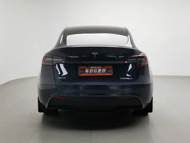 Tesla Model Y — Фото автомобиля 4