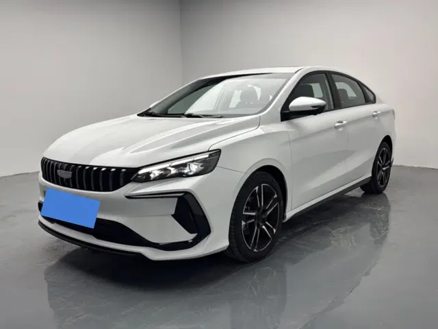 Фотография автомобиля — Geely Binrui