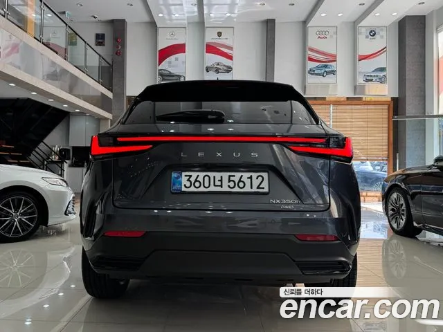 Lexus NX Generation 2 — Фото автомобиля 4