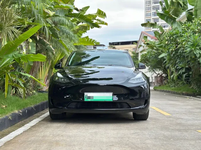 Tesla Model Y — Фото автомобиля 2