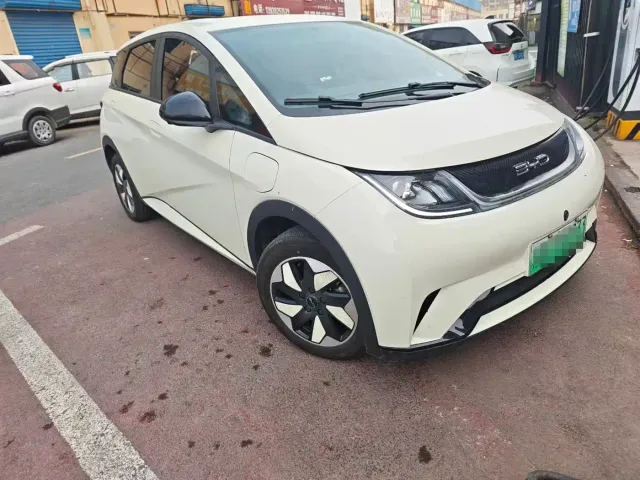 BYD Dolphin — Фото автомобиля 2