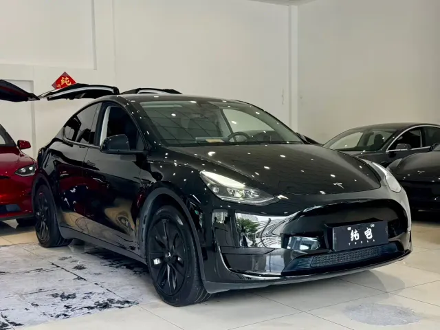 Tesla Model Y — Фото автомобиля 3