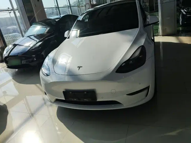 Tesla Model Y — Фото автомобиля 2