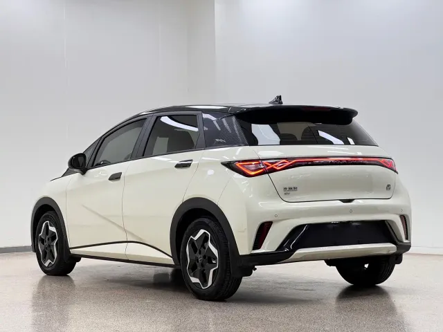 BYD Dolphin — Фото автомобиля 7