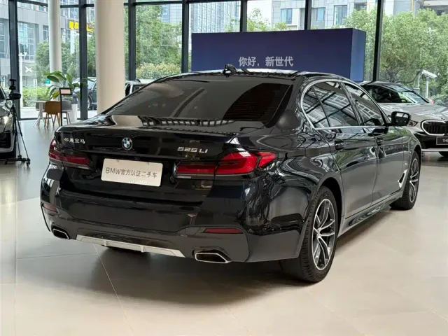BMW 5 Series — Фото автомобиля 9