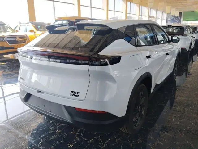 Dongfeng SKY EV01 — Фото автомобиля 6