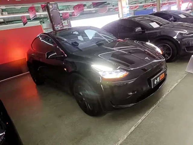 Tesla Model Y — Фото автомобиля 3