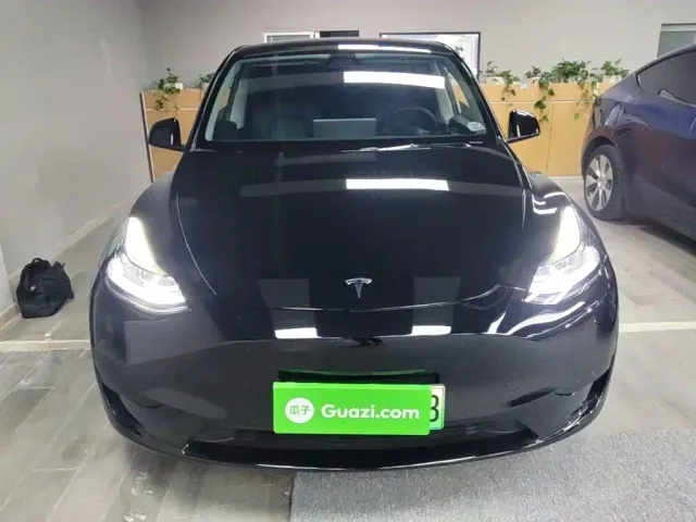 Tesla Model Y — Фото автомобиля 2