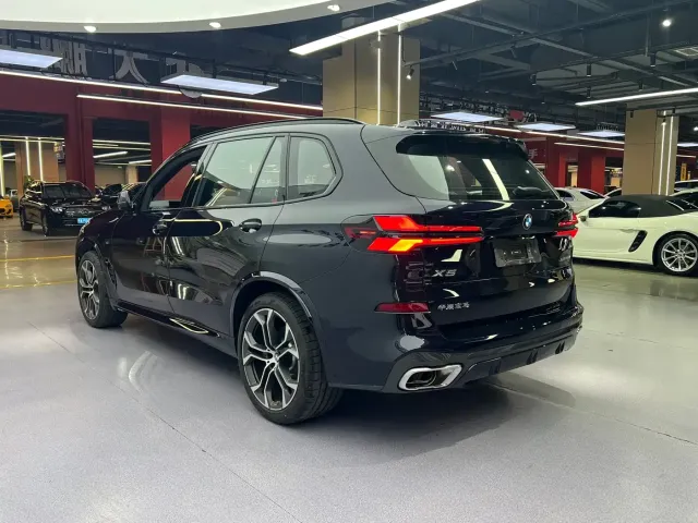 BMW BMW X5 2023 xDrive 40Li Premium M Sport Black Night Package — Фото автомобиля 16