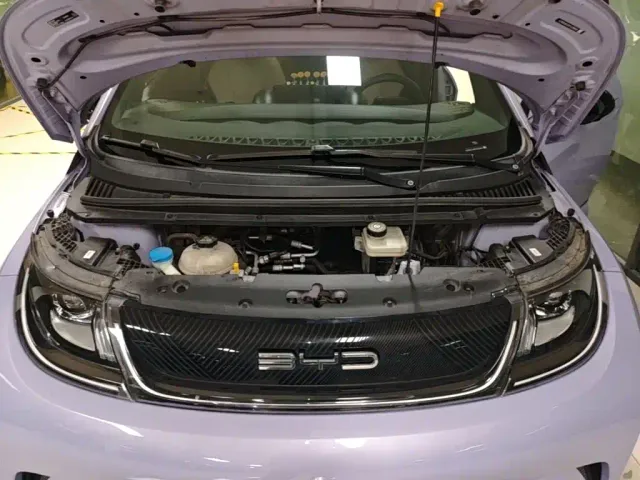 BYD Dolphin — Фото автомобиля 19