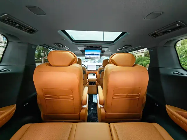 Wey Alpine — Фото автомобиля 9