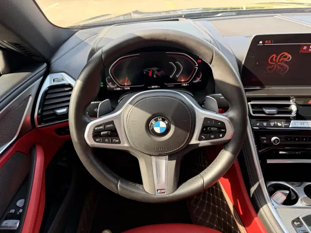 BMW 8 Series — Фото автомобиля 17