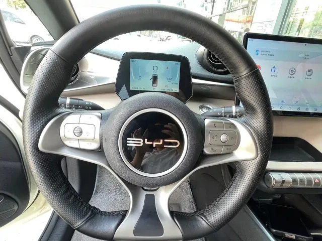 BYD Dolphin 2023 420km Freedom Edition — Фото автомобиля 10