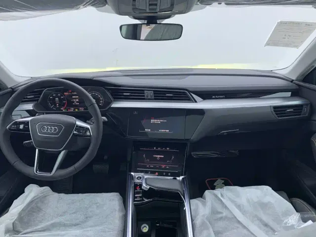 Audi e-tron — Фото автомобиля 17