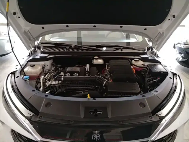 BYD Qin L — Фото автомобиля 19