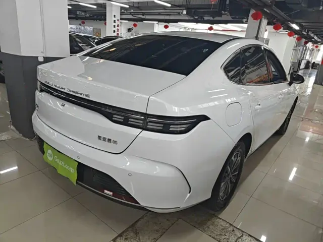 BYD Destroyer 05 — Фото автомобиля 6