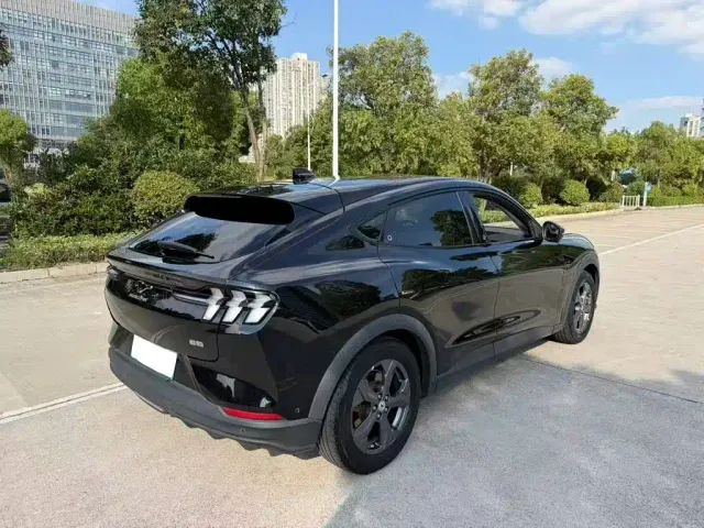Ford Mustang Mach-E — Фото автомобиля 9