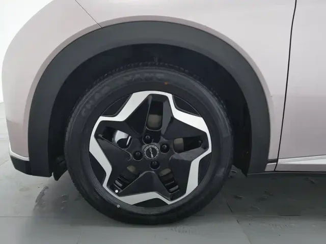 BYD Dolphin — Фото автомобиля 17