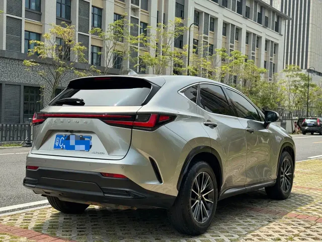 Lexus NX — Фото автомобиля 9