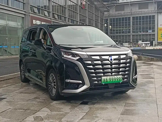 Denza D9 — Фото автомобиля 3