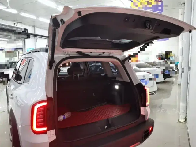 Haval Big Dog — Фото автомобиля 18
