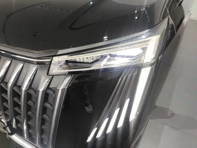 GAC Trumpchi M8 — Фото автомобиля 23