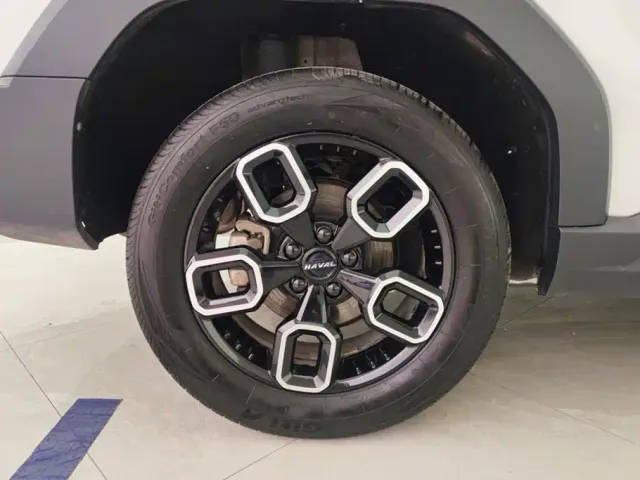 Haval Cool Dog — Фото автомобиля 6