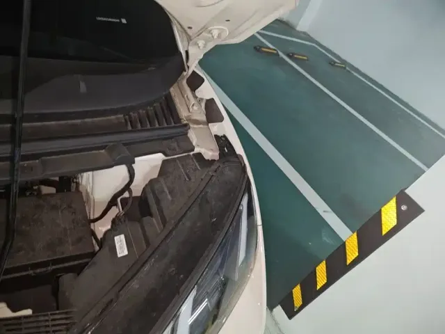 BYD Seagull 2024 Glory Edition 305km Freedom Edition — Фото автомобиля 22