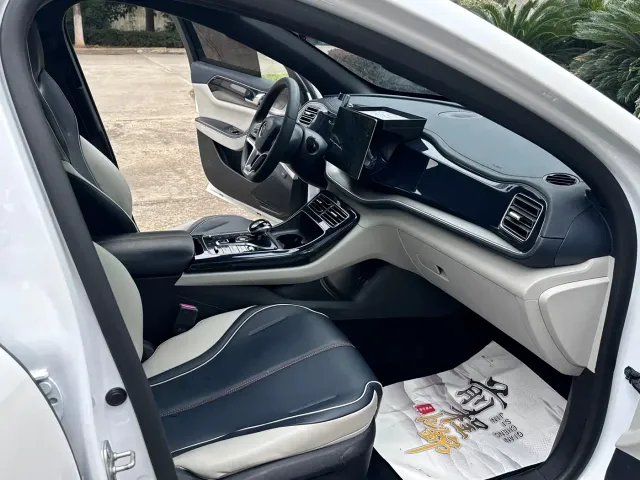BYD Qin PLUS — Фото автомобиля 13