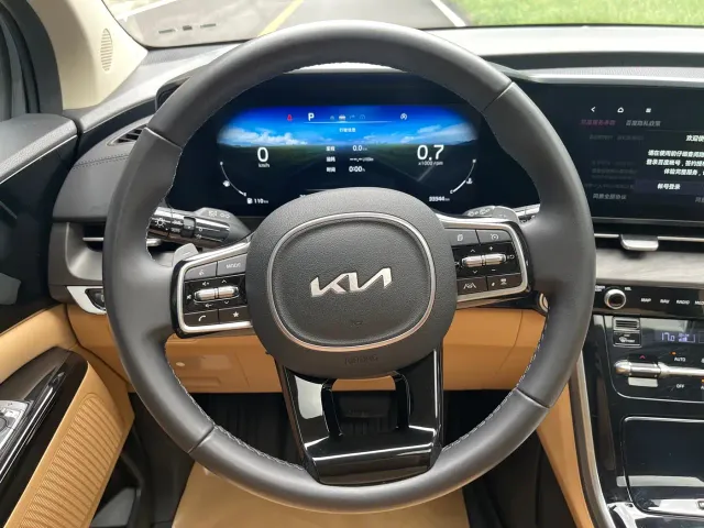 Kia Carnival — Фото автомобиля 5