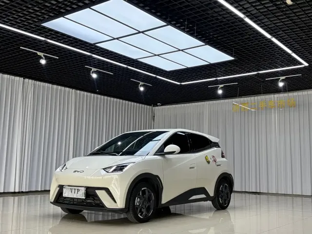 Фотография автомобиля — BYD Seagull