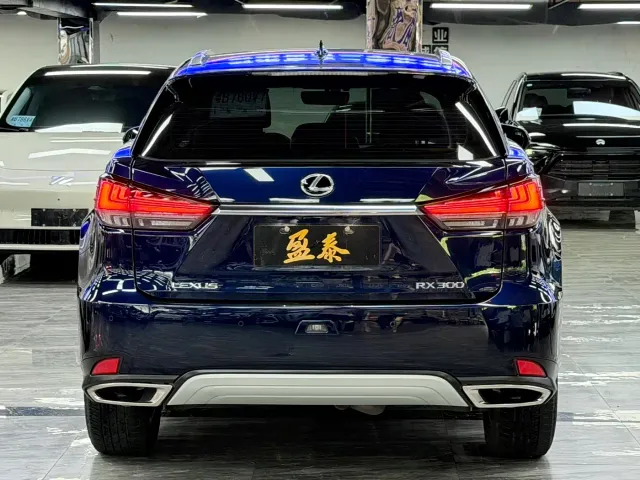 Lexus RX — Фото автомобиля 6