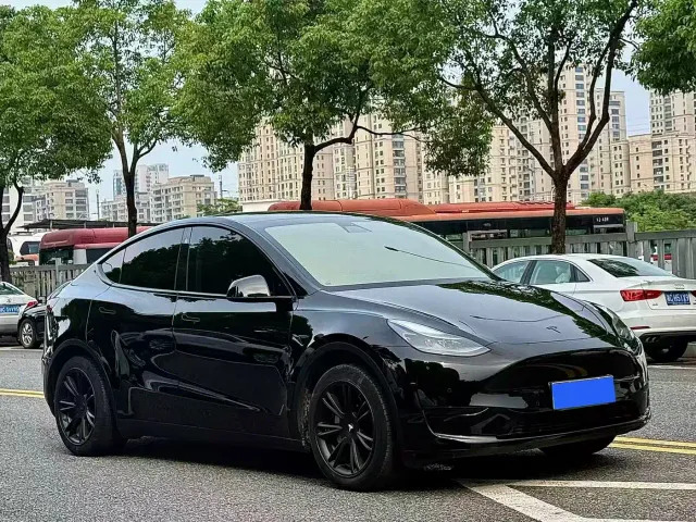 Tesla Model Y — Фото автомобиля 2