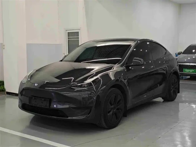 Tesla Model Y — Фото автомобиля 2