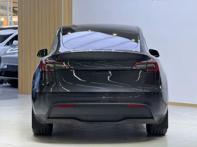 Tesla Model Y — Фото автомобиля 7