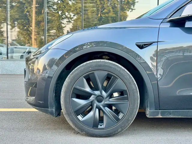 Tesla Model Y — Фото автомобиля 4
