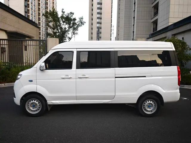 Shineray SRM Xinyuan New Energy Little Sea Lion EV — Фото автомобиля 13