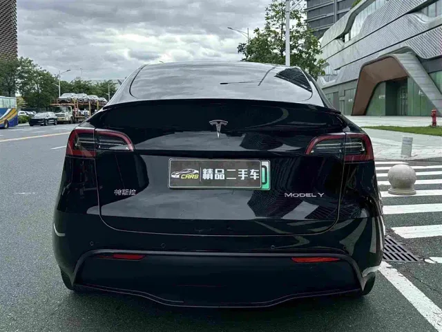 Tesla Model Y — Фото автомобиля 8