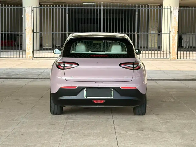 Geely Starry Wish — Фото автомобиля 6