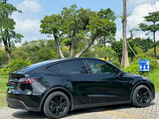 Tesla Model Y — Фото автомобиля 6