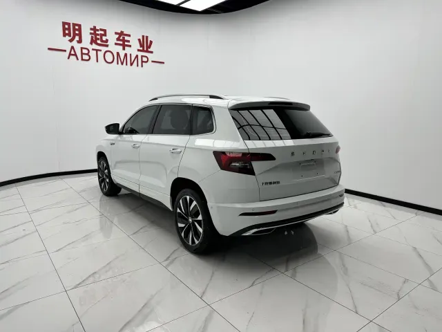 Skoda Karoq — Фото автомобиля 8