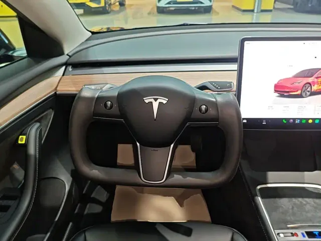 Tesla Model 3 — Фото автомобиля 10