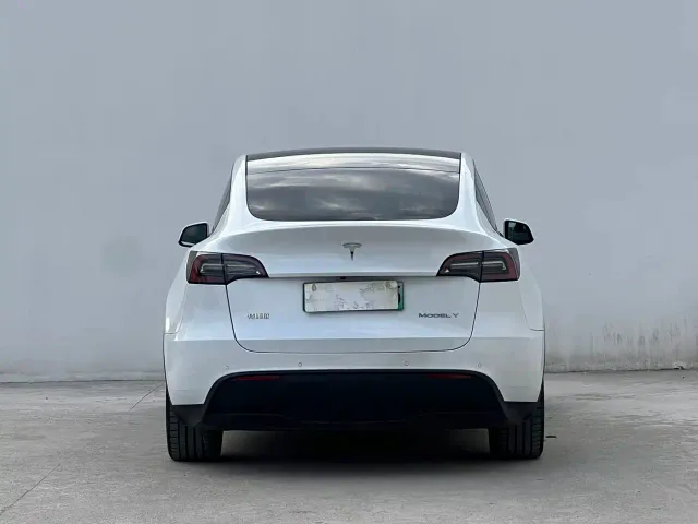 Tesla Model Y — Фото автомобиля 2