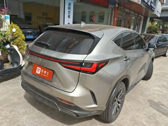 Lexus NX — Фото автомобиля 6